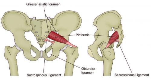 small muscle piriformis syndrome el paso tx.