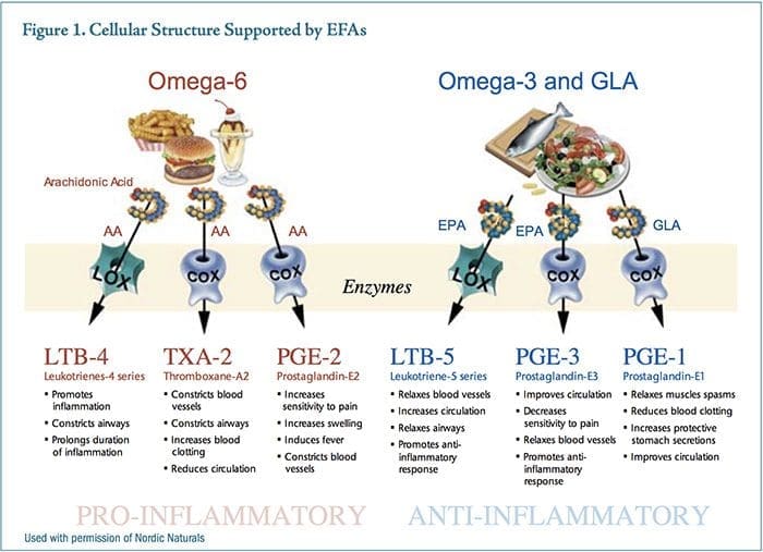 psoriasis illustration