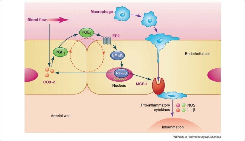 1-s2.0-S0165614712000302-gr2