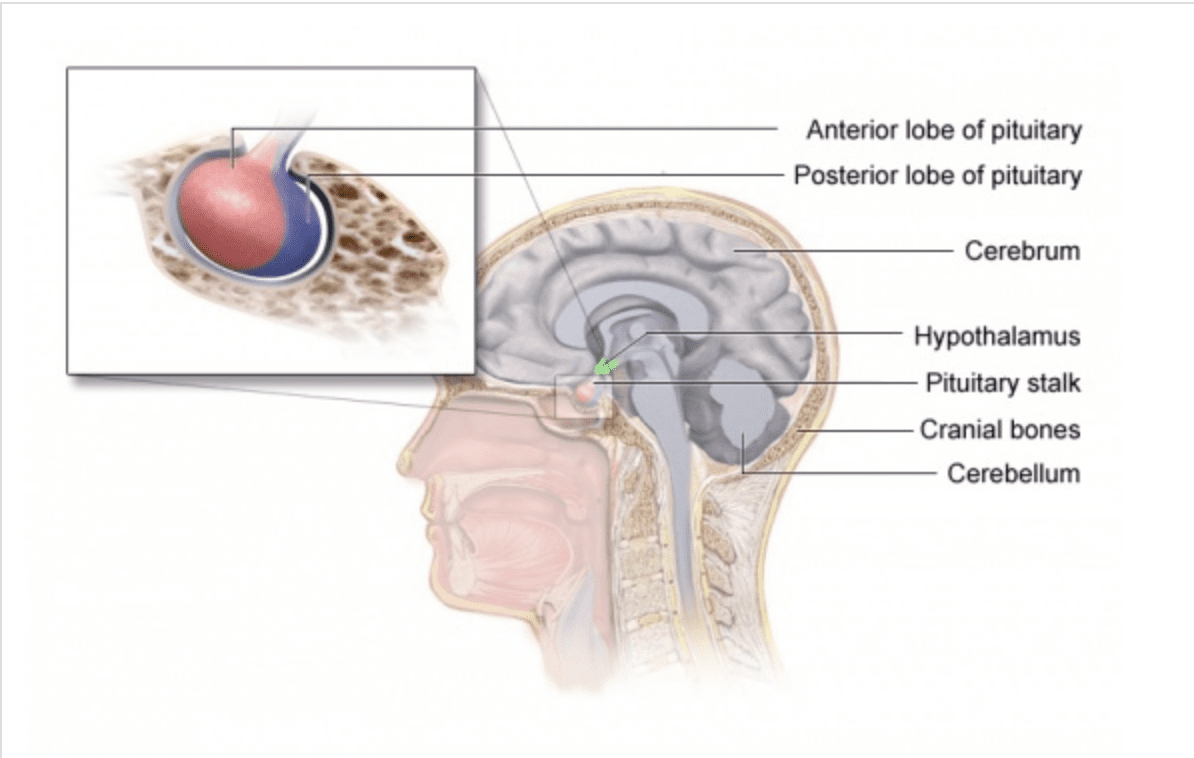 Screenshot 2019-10-08 10.16.09