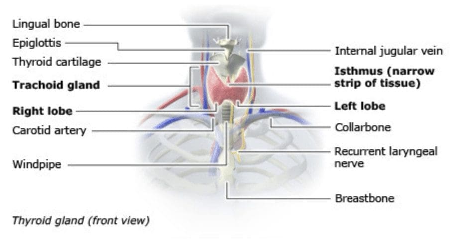 Screenshot 2019-10-08 11.28.42