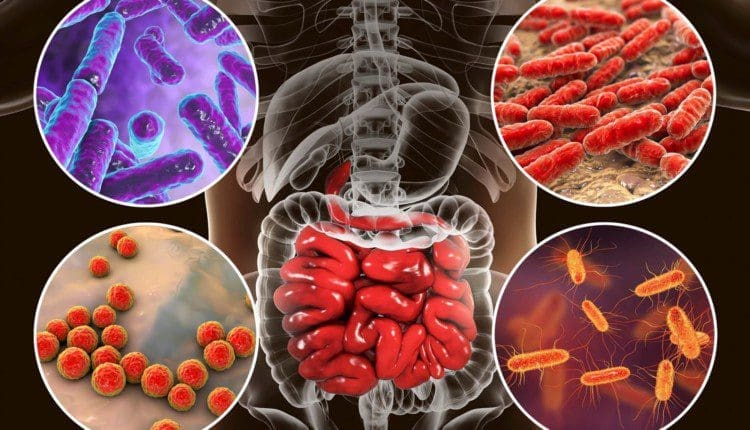 Gut Health for Active Recovery: Key Benefits Explained