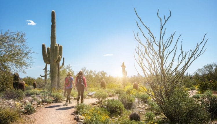 Make Fitness Easier and Safer Through Enjoyable Movement